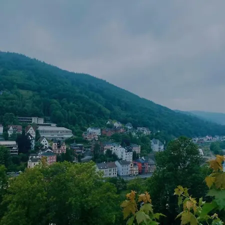 Apartman Engelenhof - Monica *